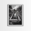 Forest Path, Reflection Pool, Nature Trail Art, Canvas Print, Tranquil Landscape, Boho Wall Decor, Entryway or Hallway Art