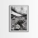 Desert Storm, Cactus Scene, Black White Art, Canvas Print, Southwest Wall Art, Earthy Tones Decor, Boho Style, Entryway Wall Accent