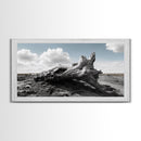 Weathered Stump, Desert Roots, Rugged Nature, Textured Wall Art, Canvas Print, Masculine Office Decor, Western Wall Accent, Rustic Charm