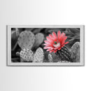 Pink Cactus Bloom, Desert Flower Closeup, Botanical Art, Canvas Print, Southwest Decor, Kitchen Wall Art, Nature Photography Print