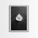 Monochrome Leaf, Nature Minimal, Still Life, Moody Art, Framed Canvas Print, Fall Wall Art, Kitchen Decor, Neutral Modern Aesthetic