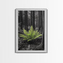 Green Fern, Forest Focus, Lush Nature, Woodland Light, Framed Canvas Print, Botanical Wall Art, Bedroom Decor, Minimalist Plant Art
