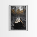 Fallen Log, Autumn Forest, Nature Transition, Framed Canvas Print, Rustic Fall Decor, Cabin Wall Art, Woodland Photography