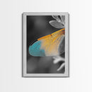 Wing Detail, Colorful Insect, Macro Nature, Blue Orange Wing, Framed Canvas Print, Natural Science Art, Entomology Wall Accent