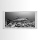 Trout, Fly Fishing Art, Rustic Decor, Coastal Wall Art, Lake Tahoe Art, Fishing Art, Nautical Painting, Framed Canvas Print