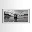 Longhorn in Water, rustic art, western decor, bull and bear art, cowboy wall art, farmhouse art, panoramic art, Framed Canvas Print
