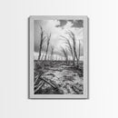 Windblown Trees, stormy sky, moody landscape, wabi sabi art, black and white, framed canvas print, rustic decor, nature photography