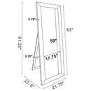 Soline 22 x 61 Inch Framed Standing Floor Mirror Silver