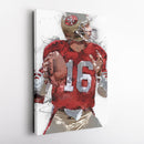 Joe Montana Canvas Art – San Francisco 49ers Wall Decor