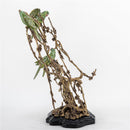 Lovecup Porcelain Birds on Tree Branch Bronze L001