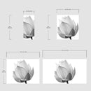 Black and White Lotus Flower Wall Mural