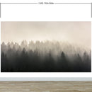 Misty Pine Forest Wall Mural. Peaceful Foggy Morning Scenery.