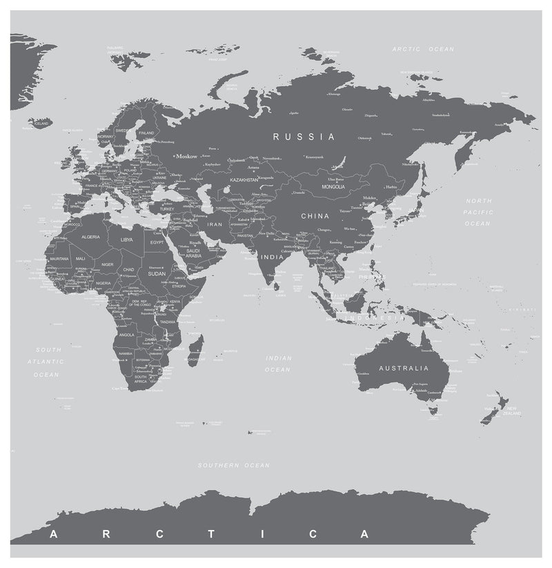 World Map Wall Mural (Grey).