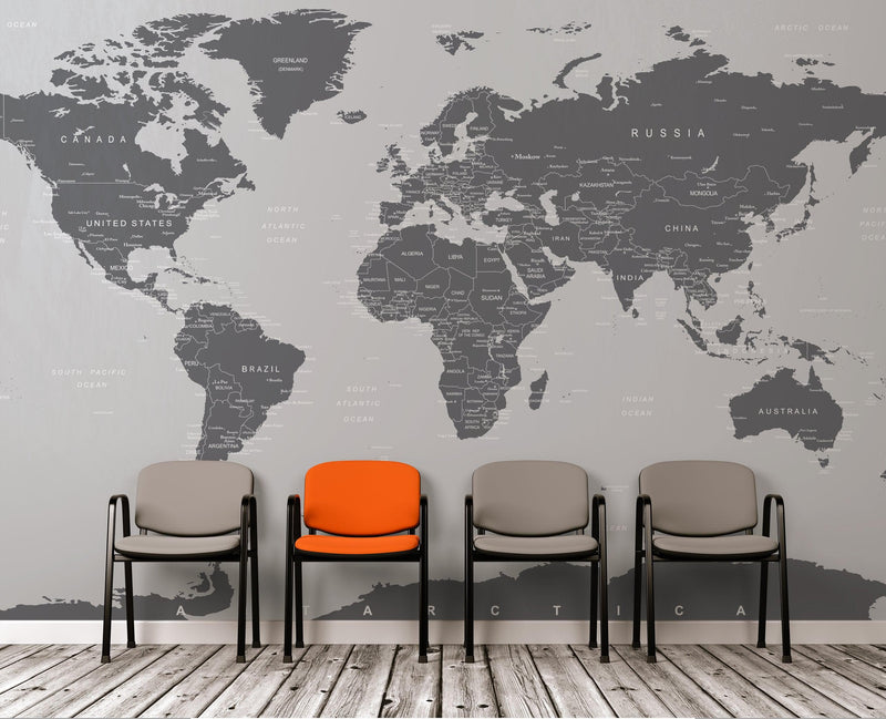 World Map Wall Mural (Grey).