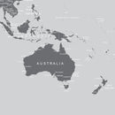 World Map Wallpaper Mural (Grey).