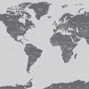 World Map Wallpaper Mural (Grey).