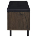 Brixton 2-door Padded Entryway Shoe Storage Bench Smoked Oak
