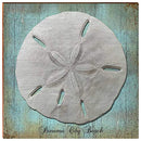 Panama City Beach Florida Sand Dollar | Wall Art Print on Real Wood