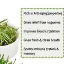 Rosemary - Whole leaf