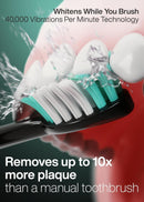 Aquasonic Black Series Ultra Whitening Toothbrush – ADA Accepted Electric Toothbrush- 8 Brush Heads & Travel Case – 40,000 VPM Electric Motor & Wireless Charging - 4 Modes w Smart Timer (Pack of 2)
