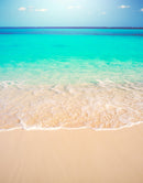 Tropical White Sand Paradise Beach Ocean Wave Scenery Wall Mural.