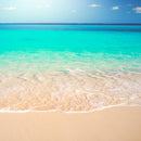 Tropical White Sand Paradise Beach Ocean Wave Scenery Wall Mural.