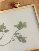 Pastel Mistletoe