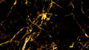 Black and Gold Abstract Marble Stone Peel and Stick Wall Mural.