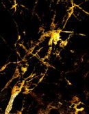 Black and Gold Abstract Marble Stone Peel and Stick Wall Mural.