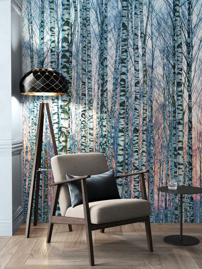 White Birch Tree Forest Wall Mural Wallpaper. Sunset Scenery.