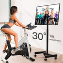 Adjustable Rolling TV Cart For 13 To 50 Inch TVs Tilt