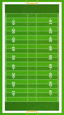 Football Field Wall Mural. 100 yard field with end zone large wall mural.