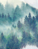 Foggy Mountain Forest View with Bison Buffalo Overlay Natural Scenery Wall Mural