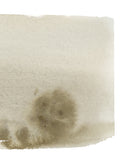 Olive Wash