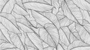 Banana Leaves Wallpaper, Palm Leaves Line Art Pattern Peel and Stick Wall Mural.
