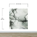 Abstract Black and White Fluid Alcohol Ink Painting Wall Mural. Peel and Stick Wallpaper.