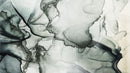 Abstract Black and White Fluid Alcohol Ink Painting Wall Mural. Peel and Stick Wallpaper.