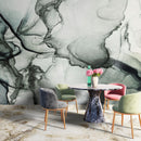 Abstract Black and White Fluid Alcohol Ink Painting Wall Mural. Peel and Stick Wallpaper.