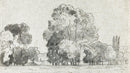 Forest Trees Wallpaper Peel and Stick Mural, Grove of Trees Drawing by Camille Pissarro.