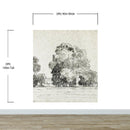 Forest Trees Wallpaper Peel and Stick Mural, Grove of Trees Drawing by Camille Pissarro.