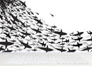 Shark Frenzy Underwater Wall Mural. Peel and Stick Wallpaper. Black and White Shark Silhouettes