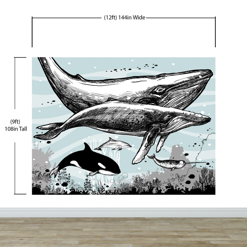 Whale, Dolphin, Killer Whale Wall Mural. Underwater Sea Life Drawing Design. Peel and Stick Wall Mural.