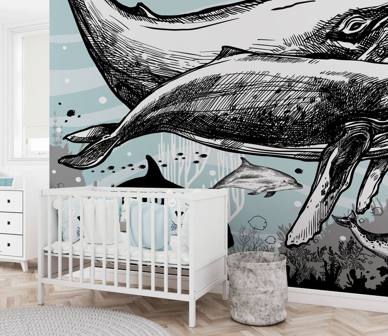 Whale, Dolphin, Killer Whale Wall Mural. Underwater Sea Life Drawing Design. Peel and Stick Wall Mural.