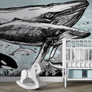 Whale, Dolphin, Killer Whale Wall Mural. Underwater Sea Life Drawing Design. Peel and Stick Wall Mural.