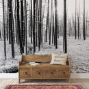 Black and White Forest Landscape Wall Mural. Peel and Stick Wallpaper.