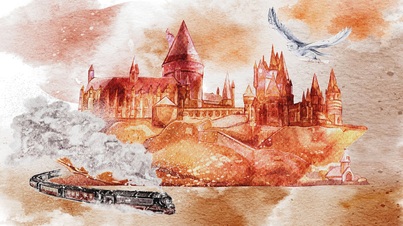 Wizardly World Wall Mural. Fantasy Theme with Castle / Train / Owl Peel and Stick Wallpaper.