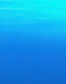 Jellyfish Floating Underwater Wall Mural. Deep Blue Ocean Peel and Stick Wallpaper.