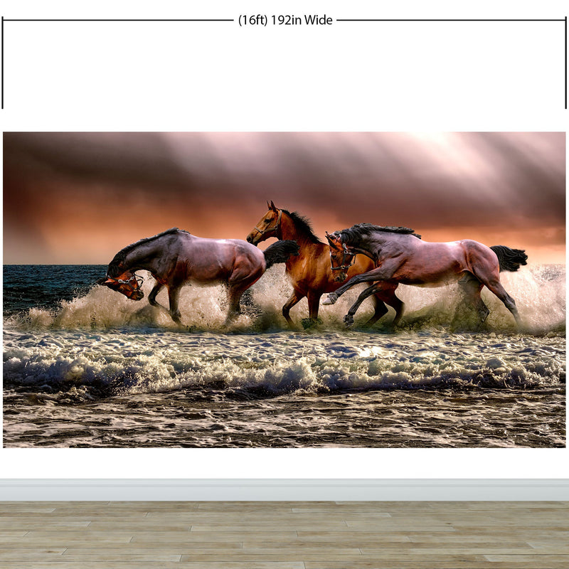 Wild Horses Galloping on Beach Wall Mural. Peel and Stick Wallpaper.