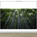 Tall Bamboo Tree Forest Wall Mural. Peaceful, Serenity, Zen Background Wallpaper.