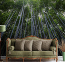 Tall Bamboo Tree Forest Wall Mural. Peaceful, Serenity, Zen Background Wallpaper.